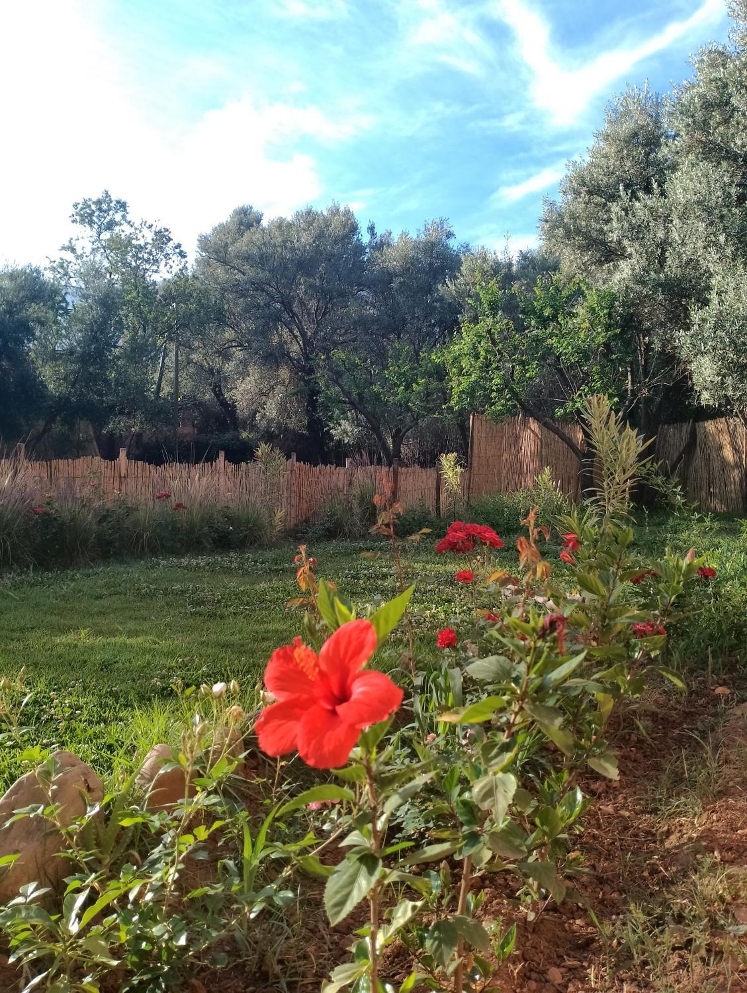 Villa Riad Idar Ouirgane Zimmer foto